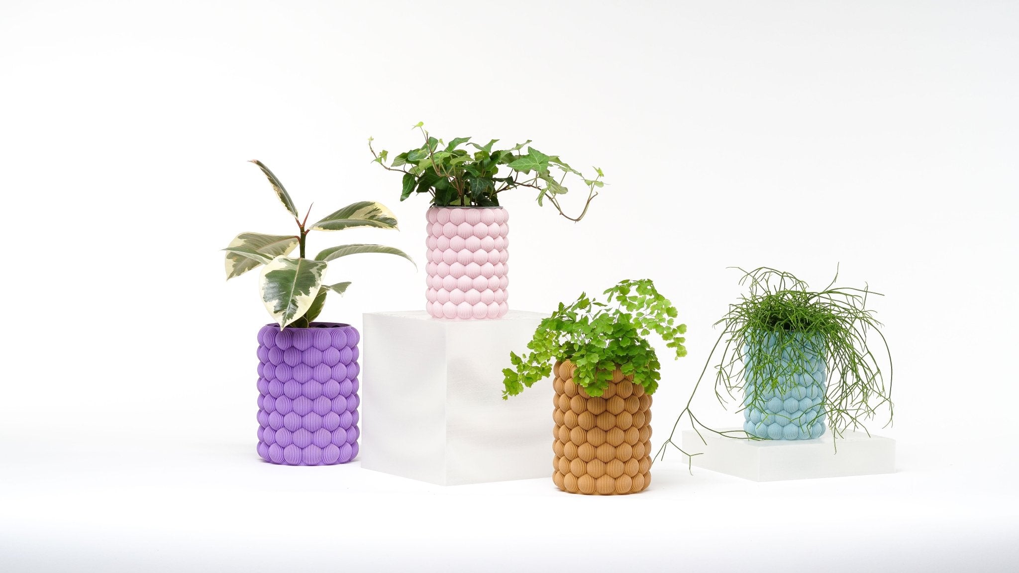 Bubble Vase - Unlimited Art Project -