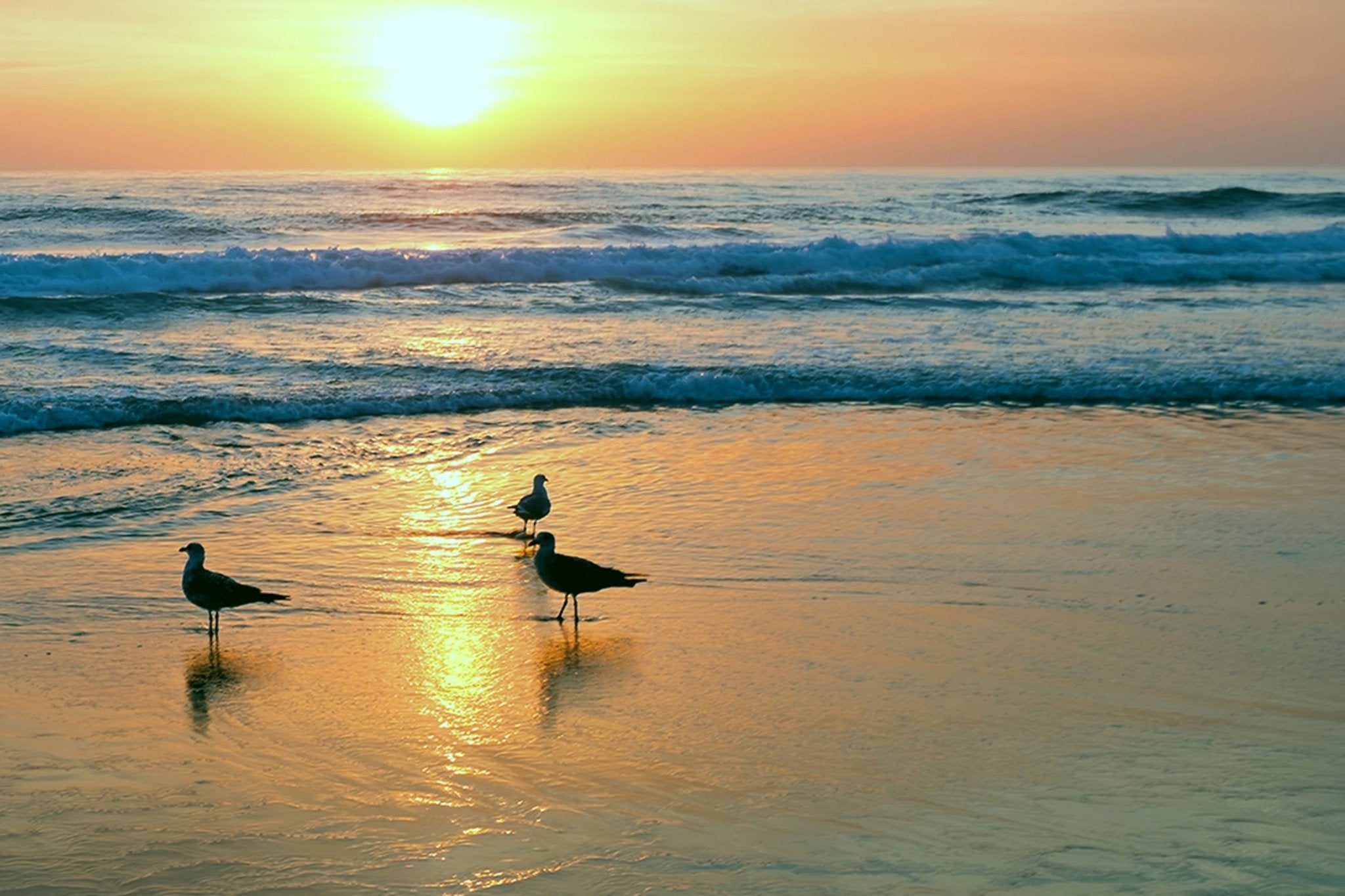 Golden Silence - Unlimited Art Project -