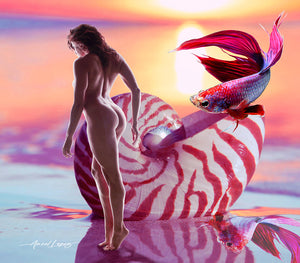 pink and white sea shell surrealism art on acrylic