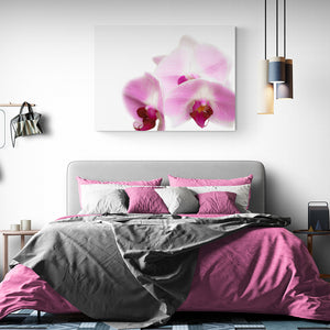 pink orchid photography art on canvas