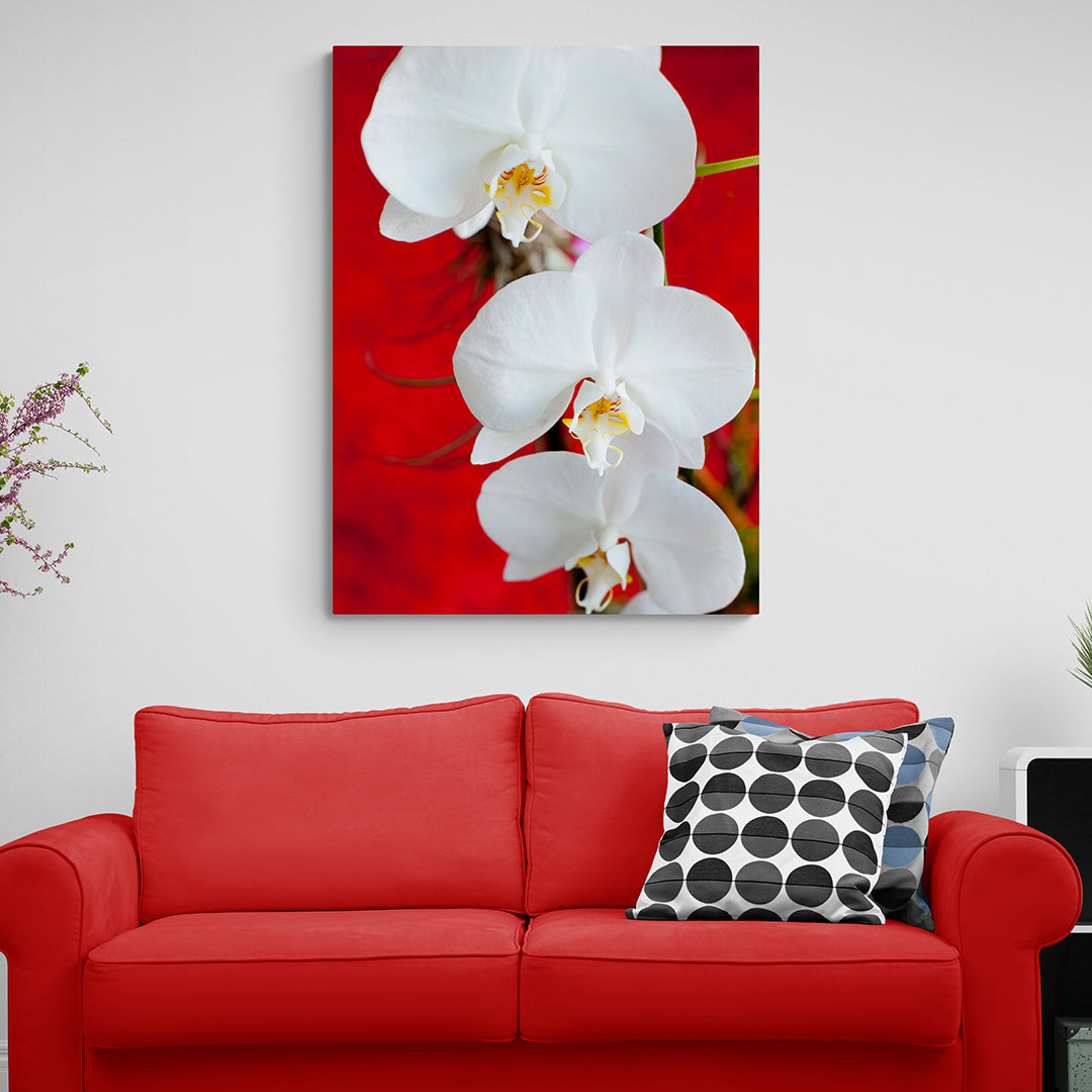 Unlimited Art Project Flower r14ao-01