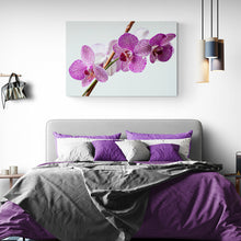 Load image into Gallery viewer, purple white flower photography art on canvas
