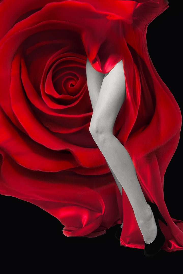 Red Rose - Unlimited Art Project -