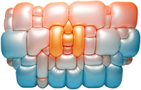 2025 - Unlimited Art Project - 