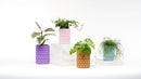 Bubble Vase - Unlimited Art Project - 