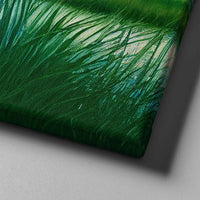 Everglades Sky - Unlimited Art Project - 