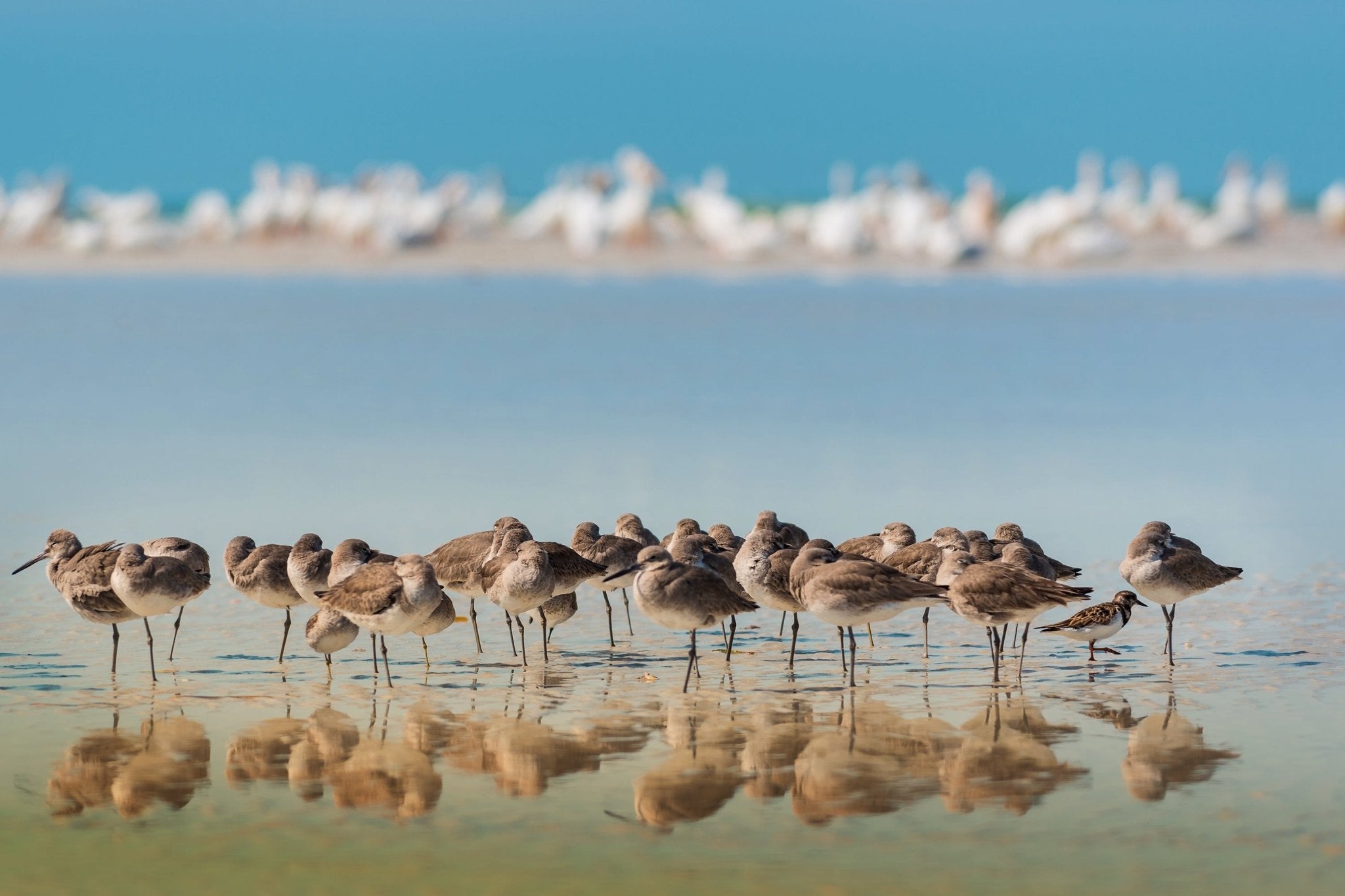 Gathering at the Waterline - Unlimited Art Project - 