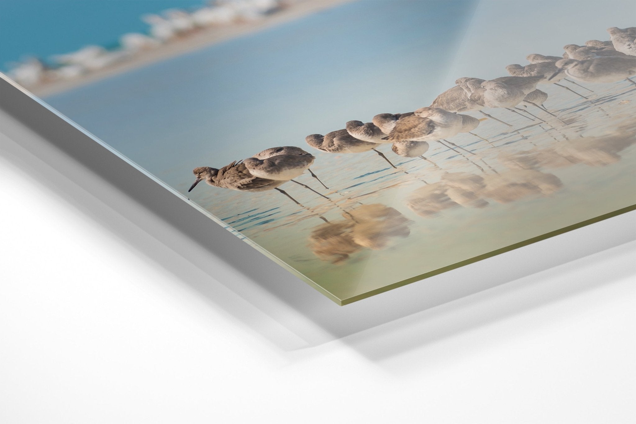 Gathering at the Waterline - Unlimited Art Project - 