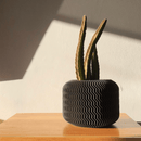 Malibu Pot - Unlimited Art Project - 