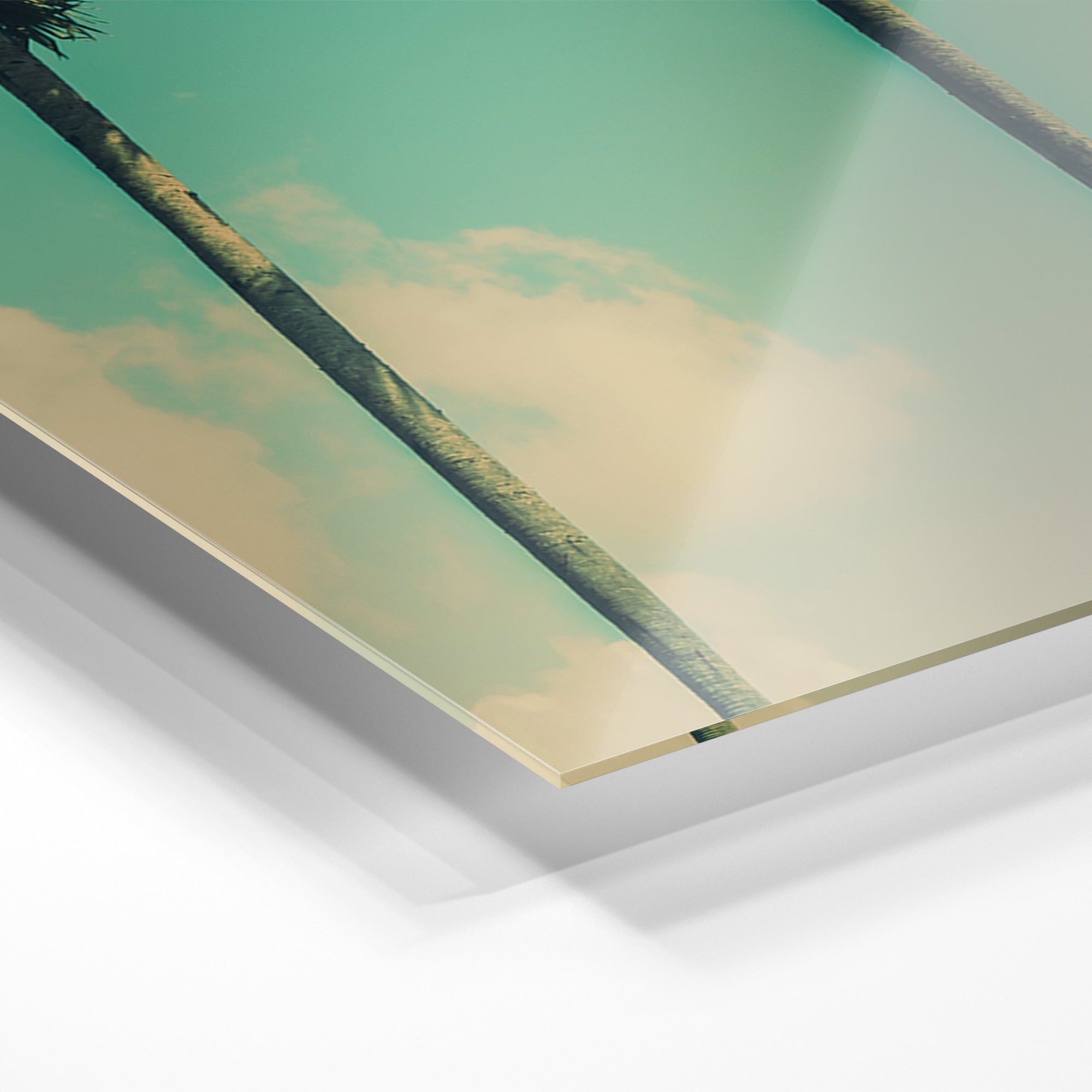 Palm Dialogue - Unlimited Art Project - 