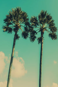Palm Dialogue - Unlimited Art Project - 