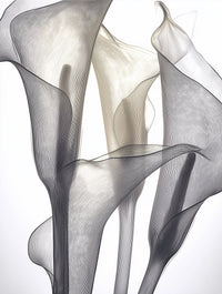 Silk Tulips - Unlimited Art Project - 