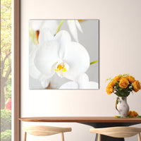 White Orchid - Unlimited Art Project - 
