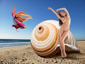 women on the beach in front of a sea shell surrealistic art on acrylic