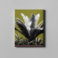 olive fern nature art on canvas