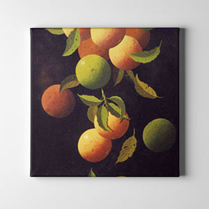 orange fruit nature art on canvas