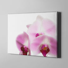 Load image into Gallery viewer, pink orchid photography art on canvas
