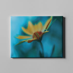 yellow sunflower in the rain blue photography art on canvas