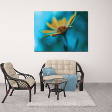 Load image into Gallery viewer, yellow sunflower in the rain blue photography art on canvas
