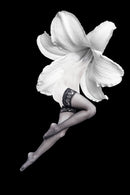  Unlimited Art Project Figurative white-flower-black-stockings