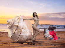 Load image into Gallery viewer,  Unlimited Art Project Surrealism conch-shell
