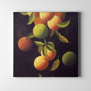 Falling Oranges - Unlimited Art Project - 