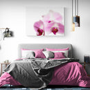 Pink Orchid - Unlimited Art Project - 